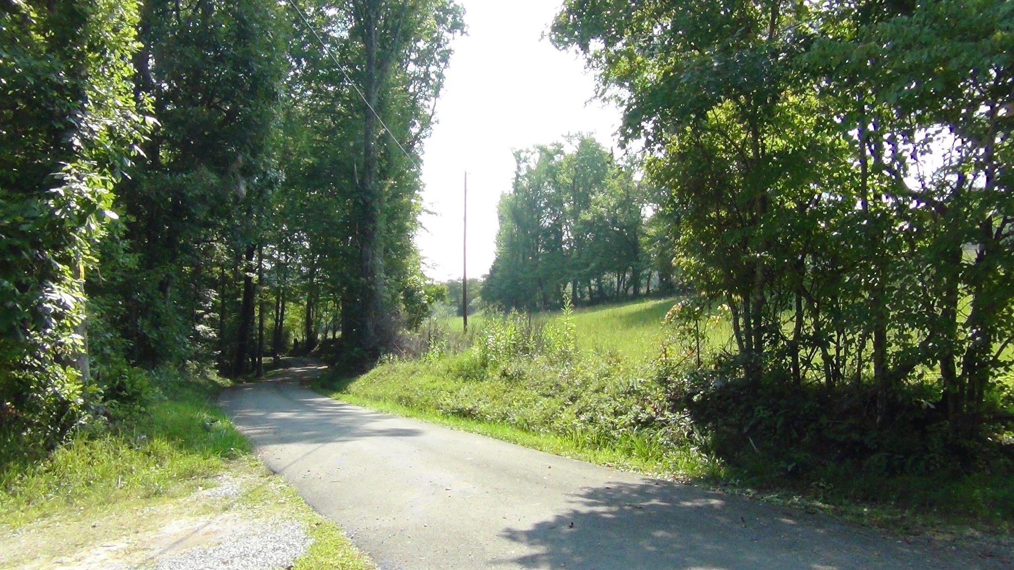 704 Annadel Road Lancing, TN 37770 - Photo 14 of 51 a view of lake background with green space