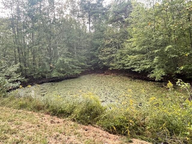704 Annadel Road Lancing, TN 37770 - Photo 22 of 51 a view of outdoor space and garden