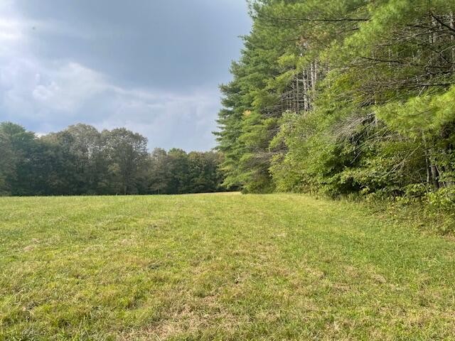 704 Annadel Road Lancing, TN 37770 - Photo 24 of 51 a view of an outdoor space and a yard