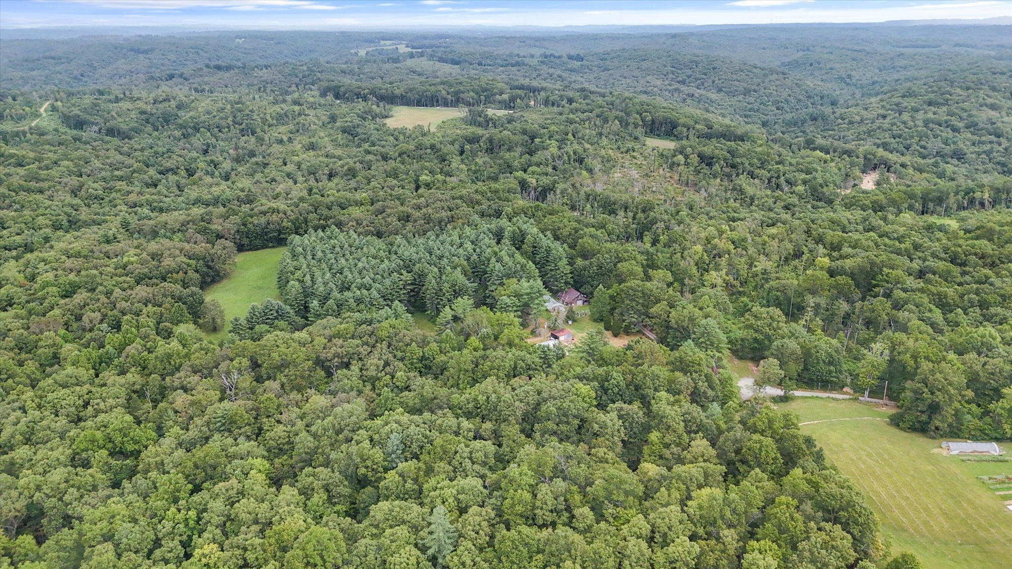 704 Annadel Road Lancing, TN 37770 - Photo 3 of 51 a view of a green field with lots of bushes