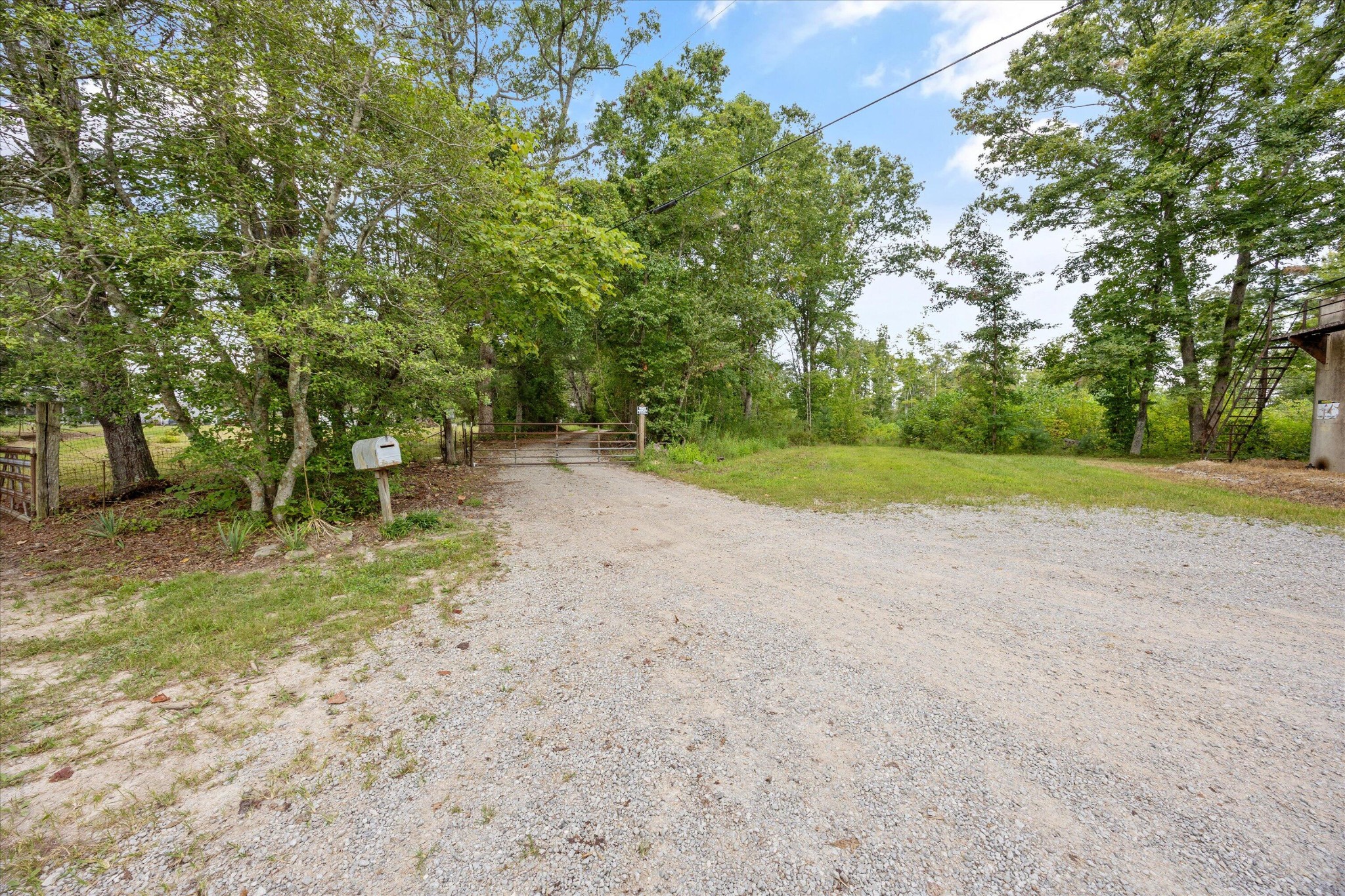 704 Annadel Road Lancing, TN 37770 - Photo 10 of 51 a view of a field with trees