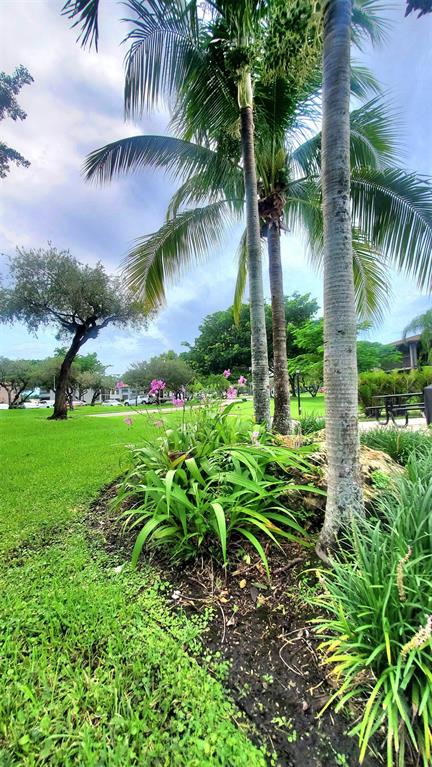 9731 West McNab Road, Unit 208 Fort Lauderdale, FL 33321 - Photo 2 of 31 a view of a garden