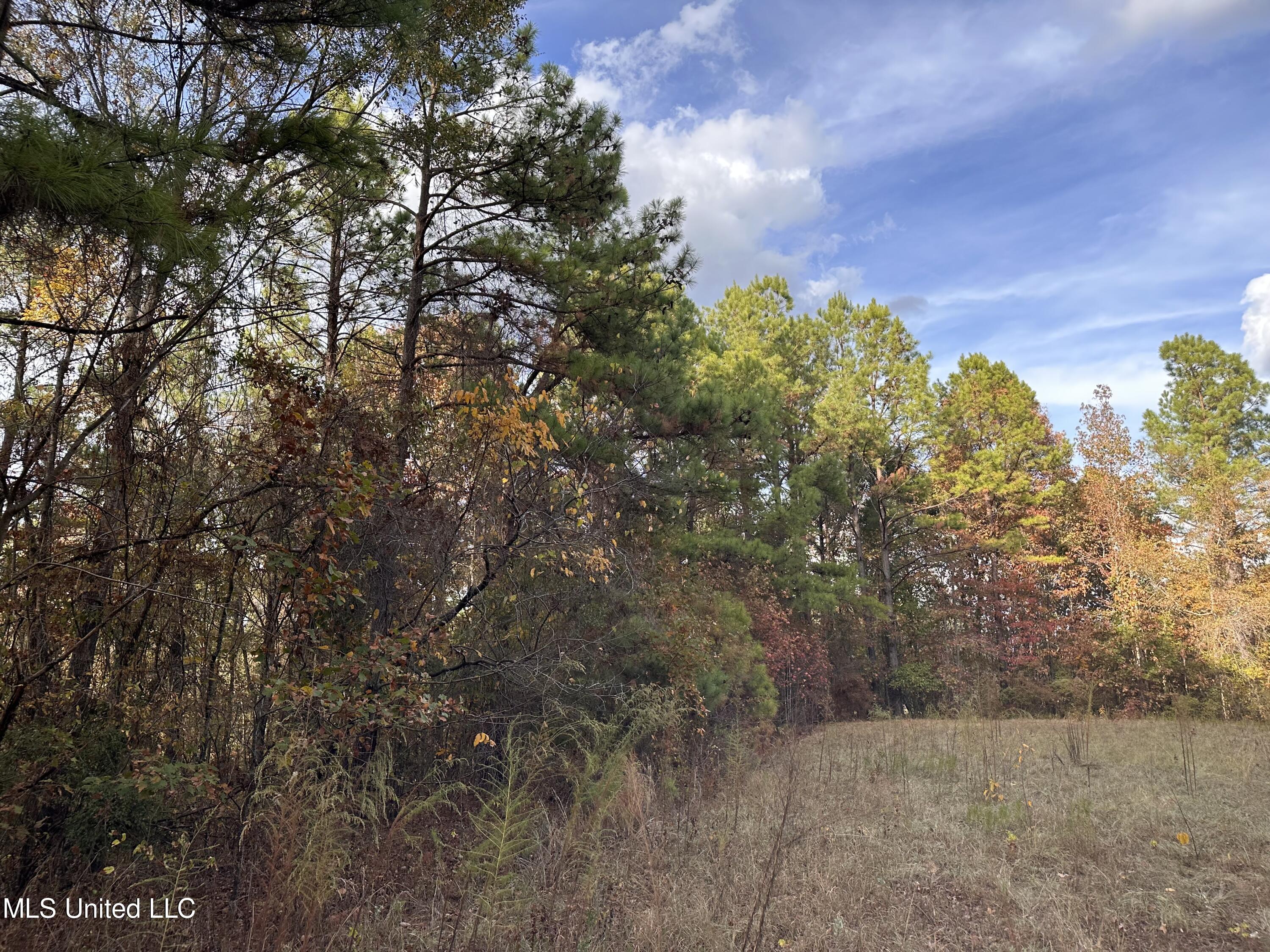 0 Salem Road Hazlehurst, MS 39083 - Photo 12 of 17 IMG_3278