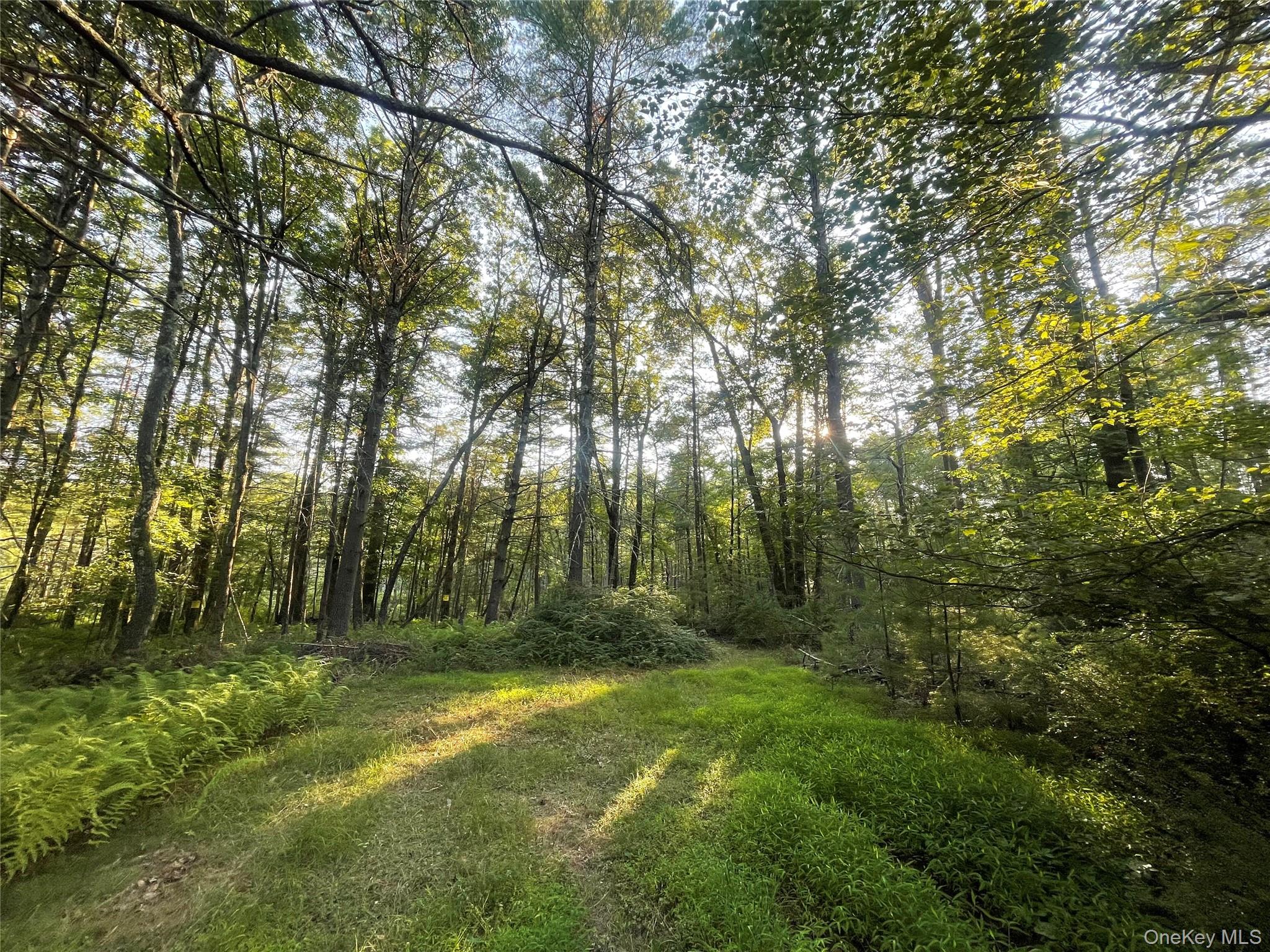 Loch Ada Road Barryville, NY 12737 - Photo 1 of 8 a view of outdoor space and yard