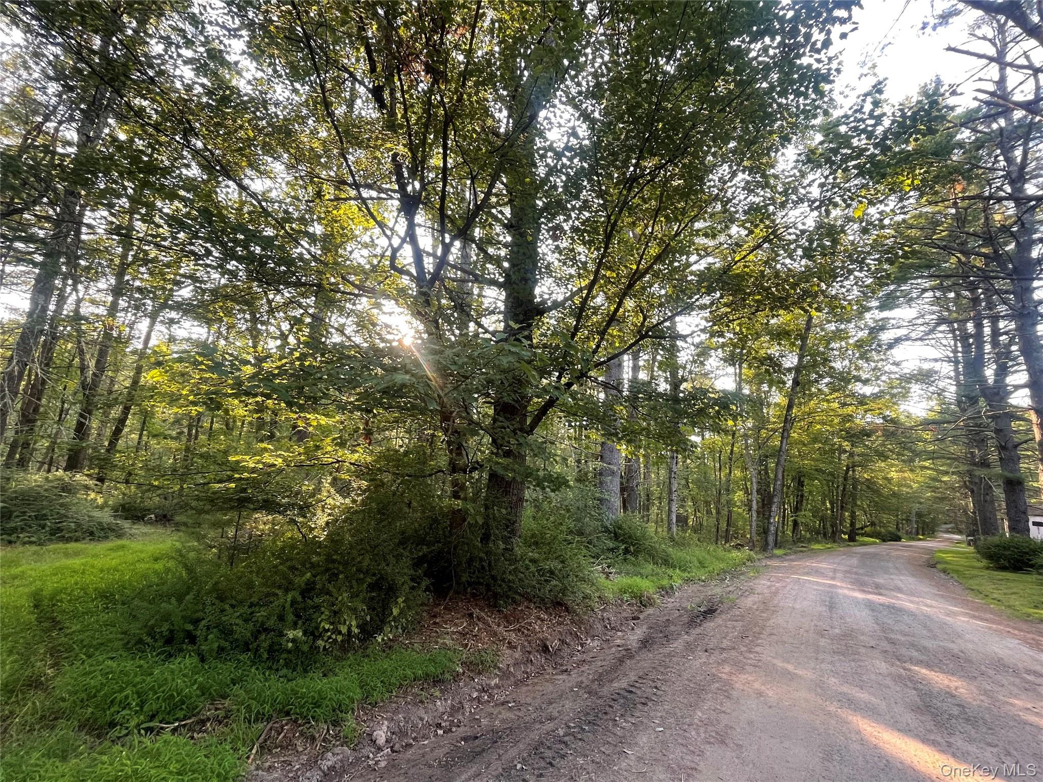 Loch Ada Road Barryville, NY 12737 - Photo 3 of 8 a view of a forest with trees