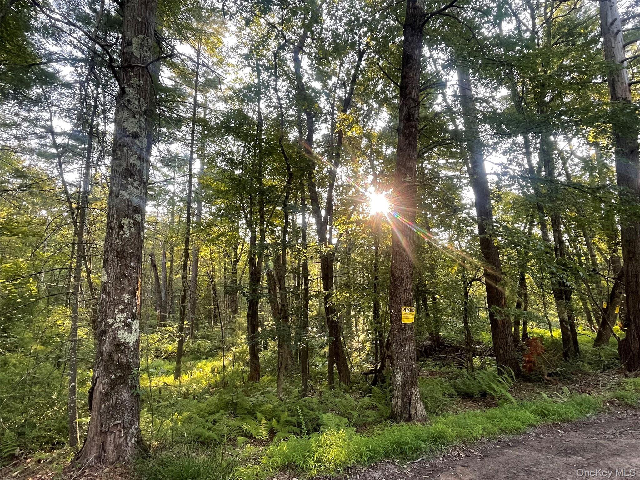 Loch Ada Road Barryville, NY 12737 - Photo 5 of 8 a view of forest