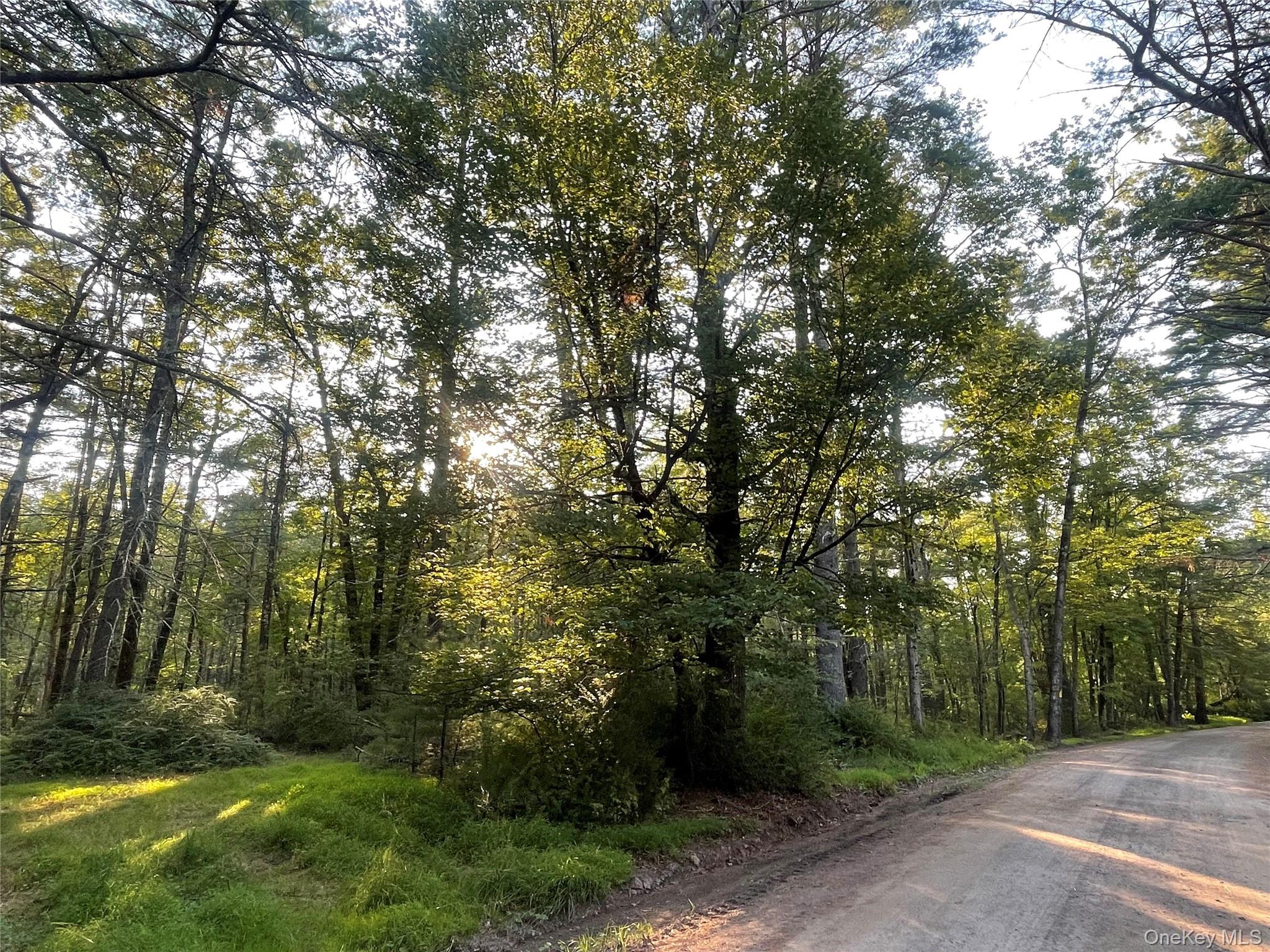 Loch Ada Road Barryville, NY 12737 - Photo 6 of 8