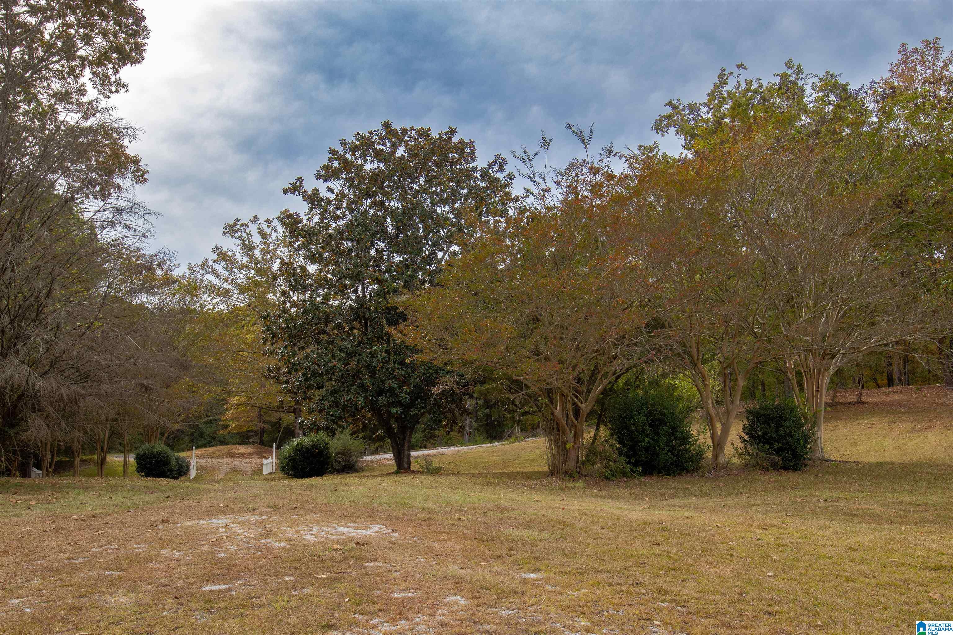 1370 County Road 759 Clanton, AL 35046 - Photo 50 of 52