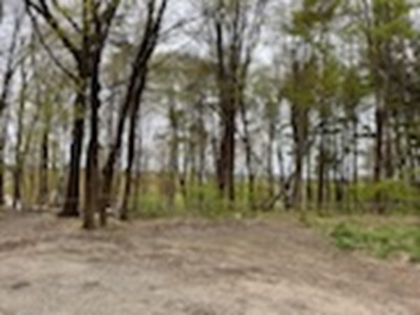 20 Spring Street Ipswich, MA 01938 - Photo 16 of 27 Gallery Image 16
