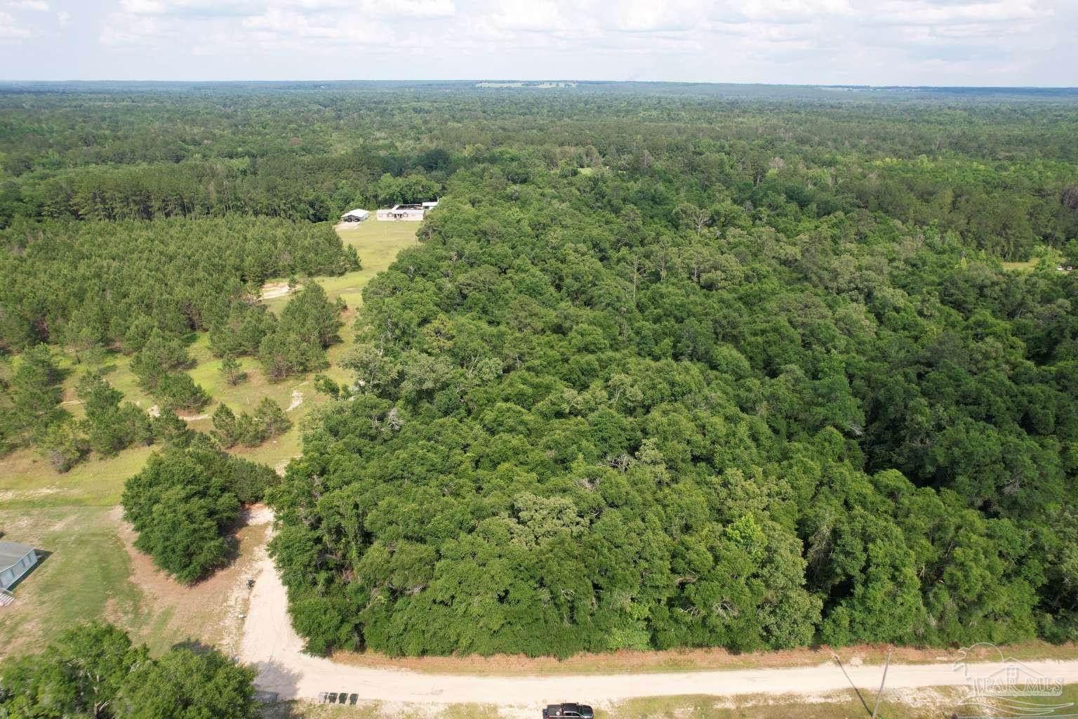 400 Brown Road McDavid, FL 32568 - Photo 6 of 10 a view of a garden with a lake