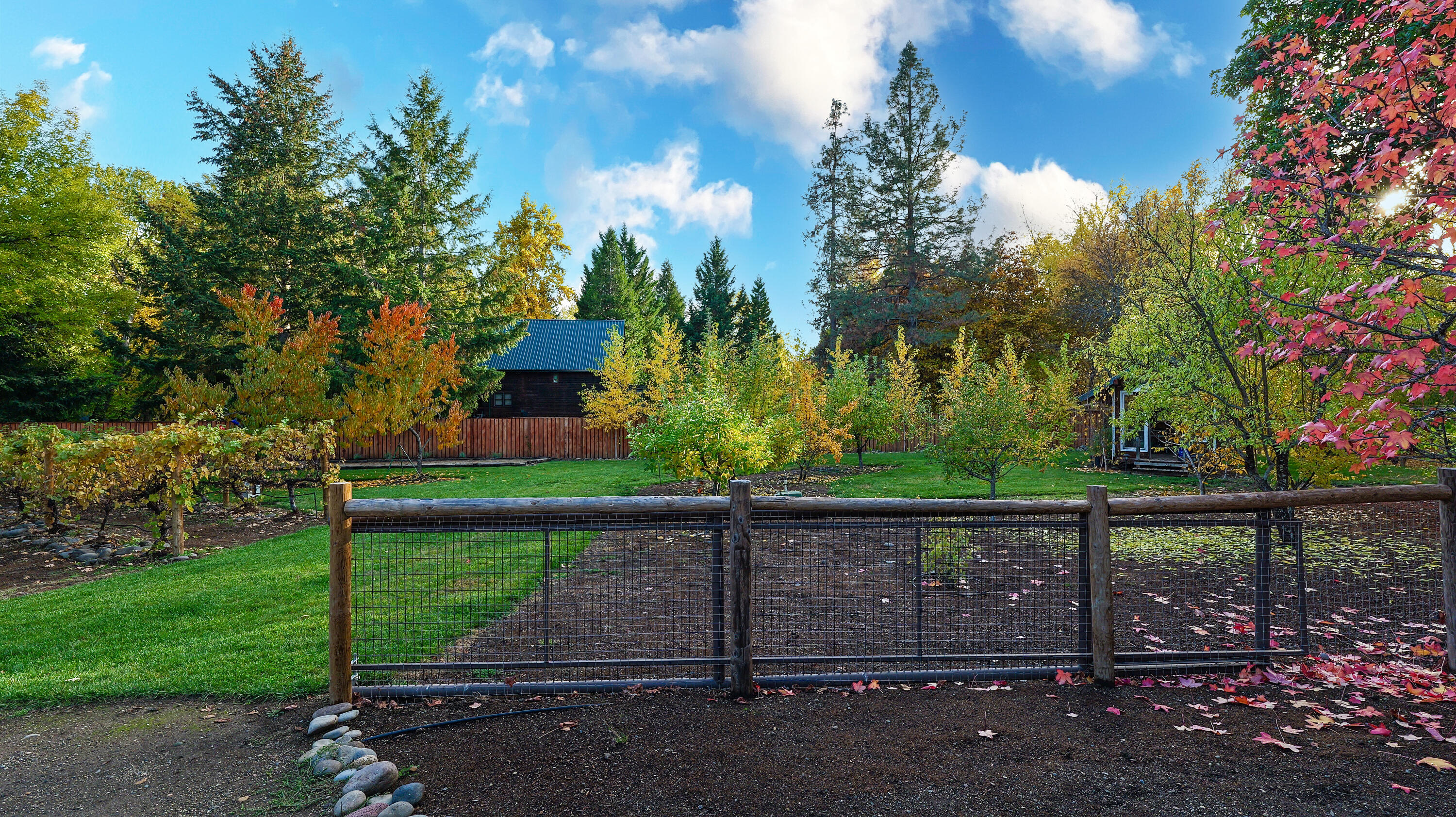 343 Rene Drive Shady Cove, OR 97539 - Photo 136 of 152 343 Rene Fall (29)