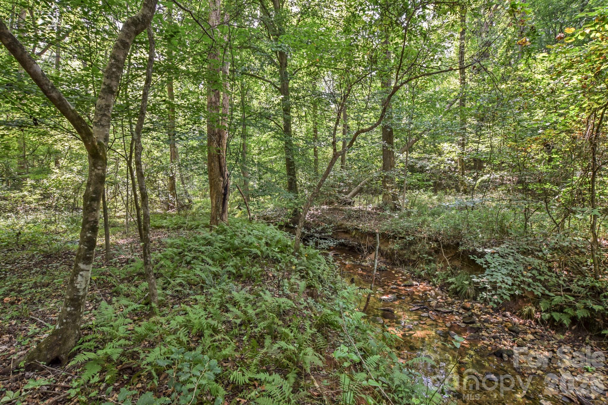 99999 Lail Road Rutherfordton, NC 28139 - Photo 11 of 15 Gallery Image 11