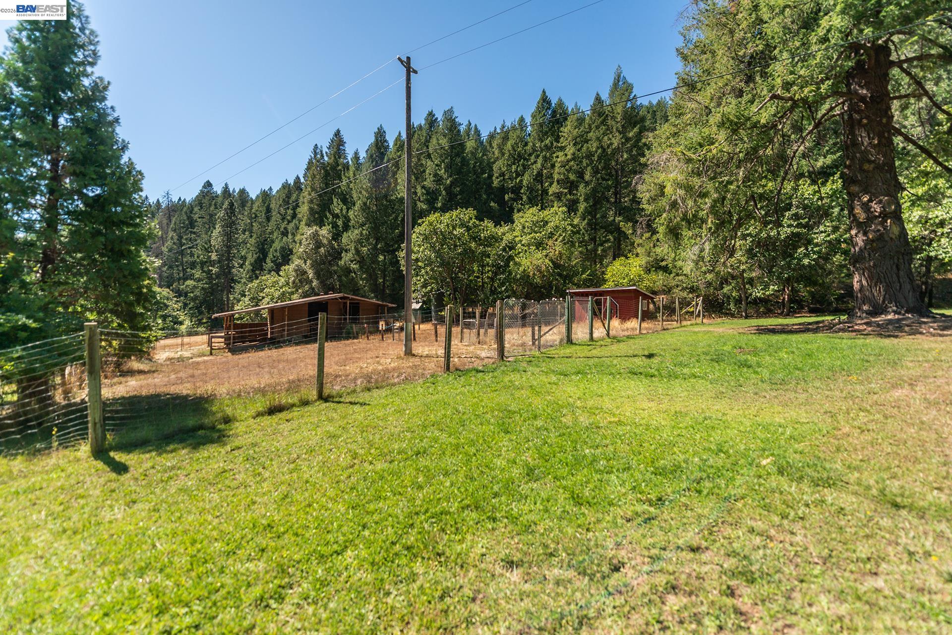 4481 Rush Creek Road Lewiston, CA 96052 - Photo 64 of 68