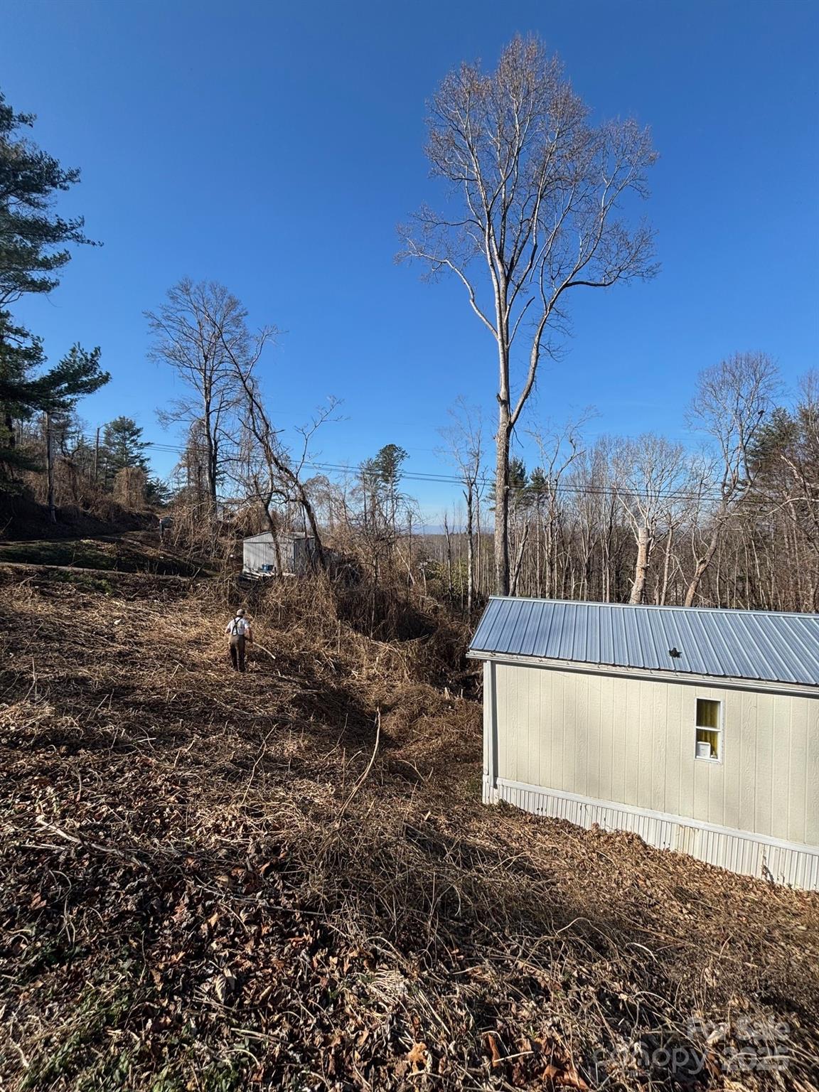 905 Hutch Mountain Road Fletcher, NC 28732 - Photo 5 of 9 a view of outdoor space and yard