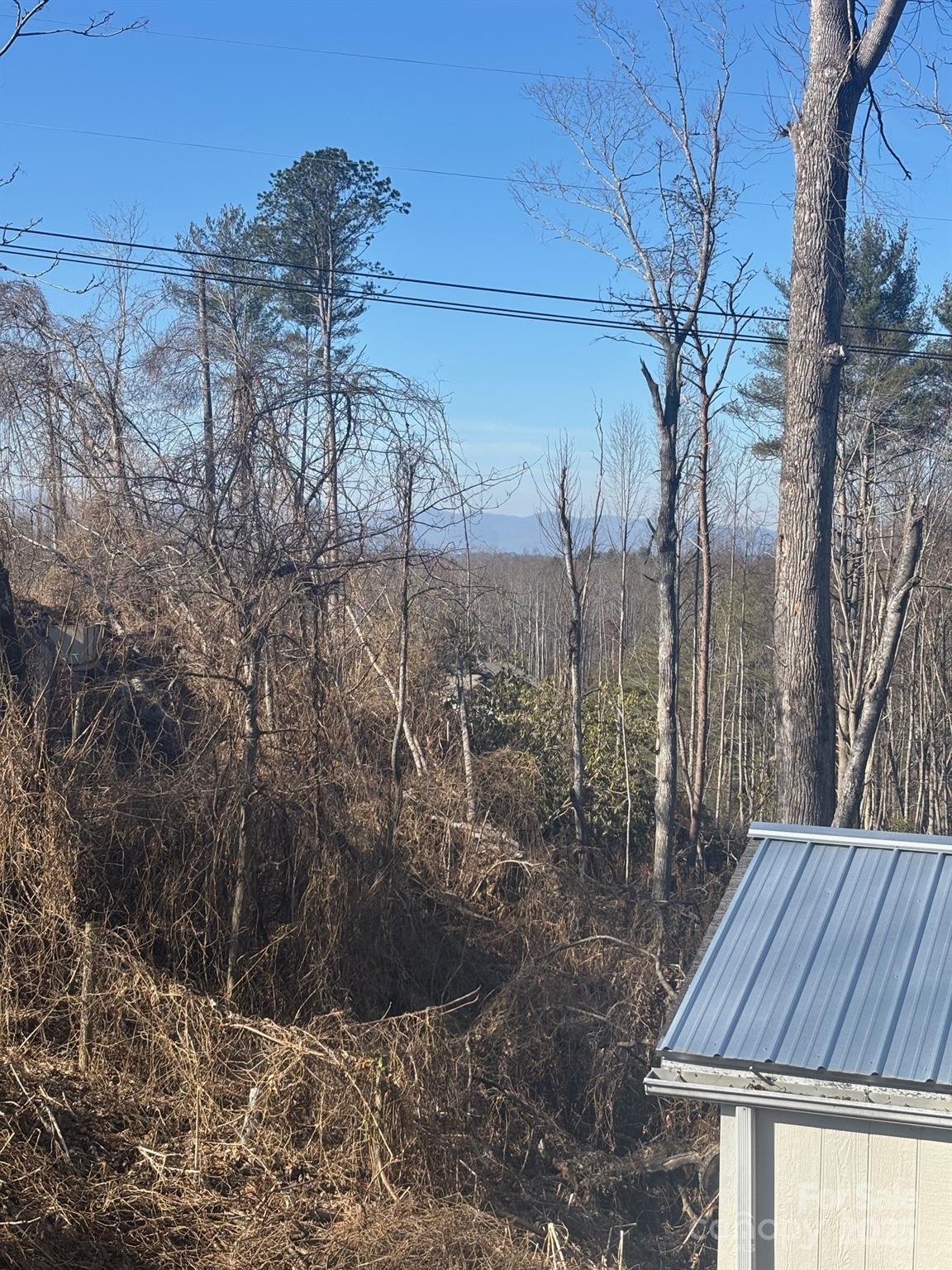 905 Hutch Mountain Road Fletcher, NC 28732 - Photo 6 of 9 a view of outdoor space and yard