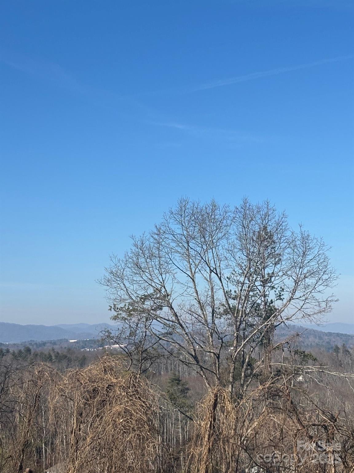 905 Hutch Mountain Road Fletcher, NC 28732 - Photo 9 of 9 a view of a field with trees in the background