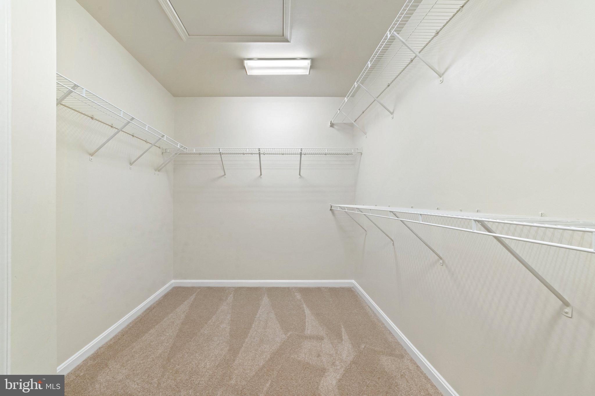 3040 Rittenhouse Circle, Unit 46 Fairfax, VA 22031 - Photo 29 of 66 Master Walk-in Closet