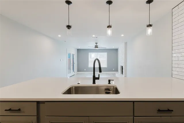 a kitchen with a sink and a potted plant