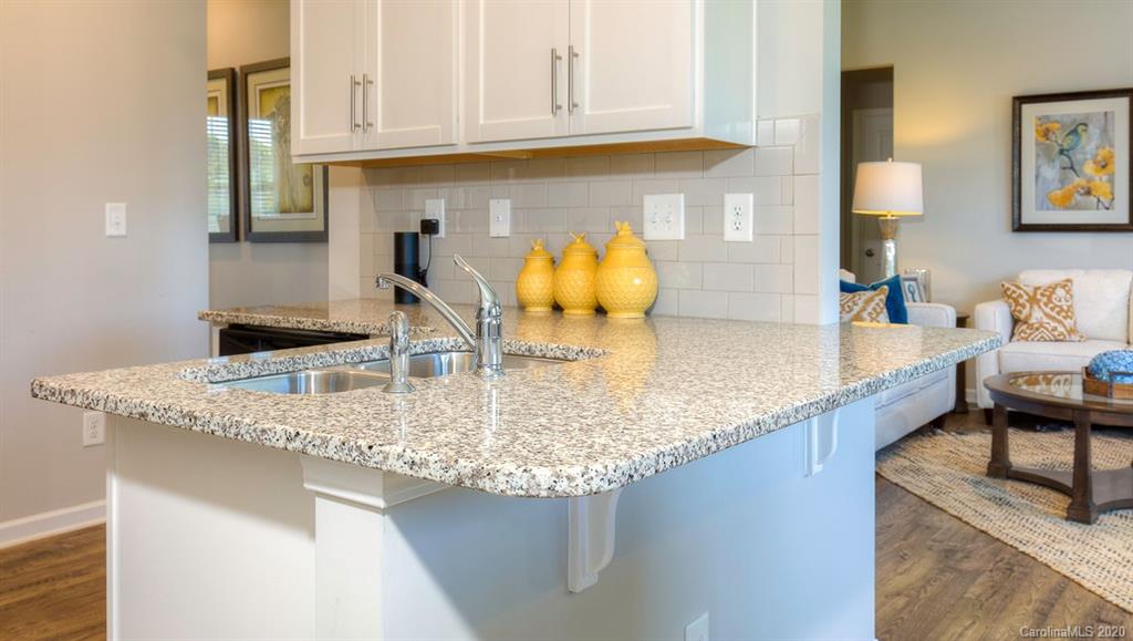 911 Elliott Road, Unit 4038 Charlotte, NC 28216 - Photo 12 of 29 Gallery Image 12