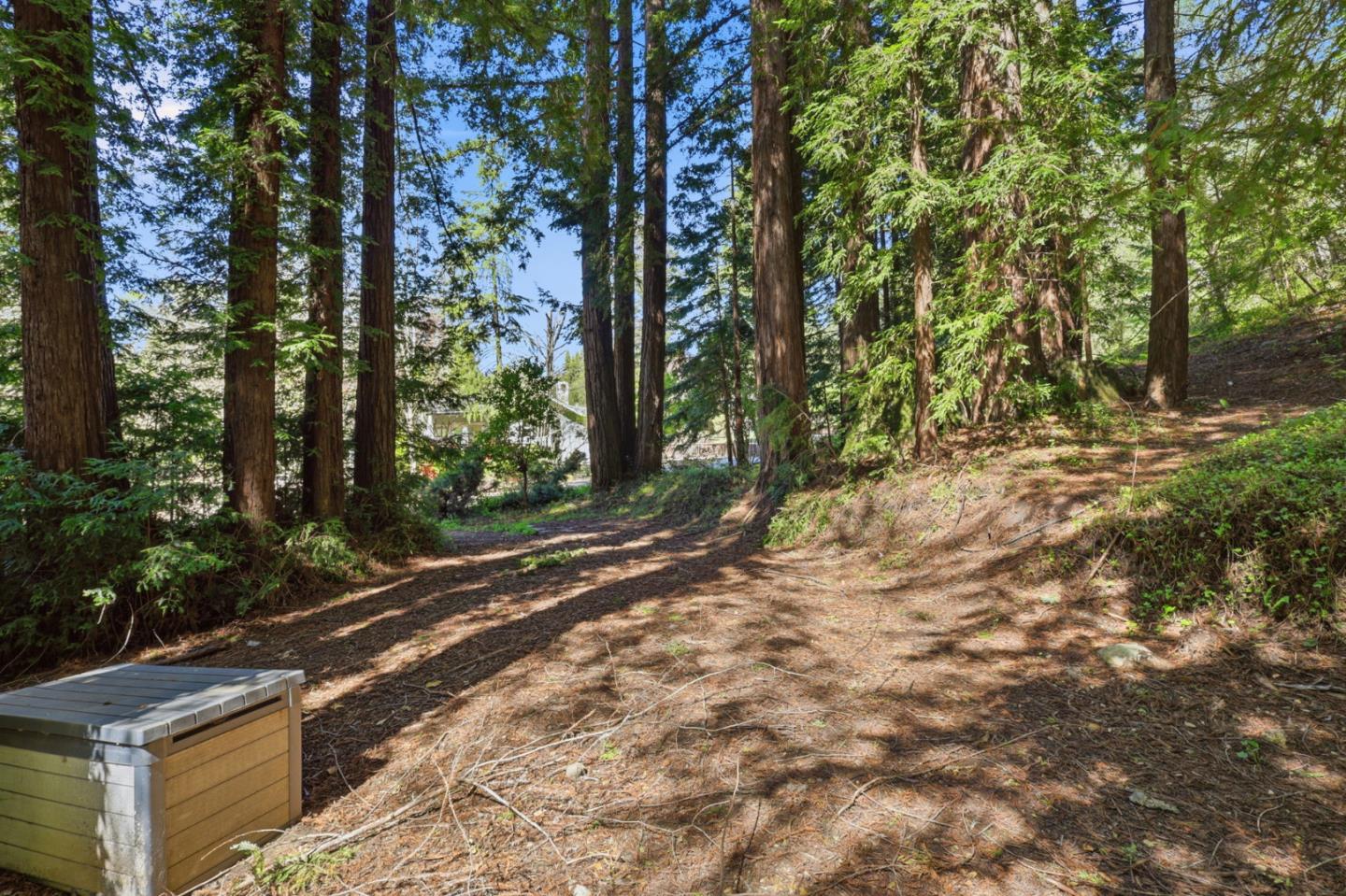 17760 China Grade Road Boulder Creek, CA 95006 - Photo 17 of 45 a view of a yard with plants and trees