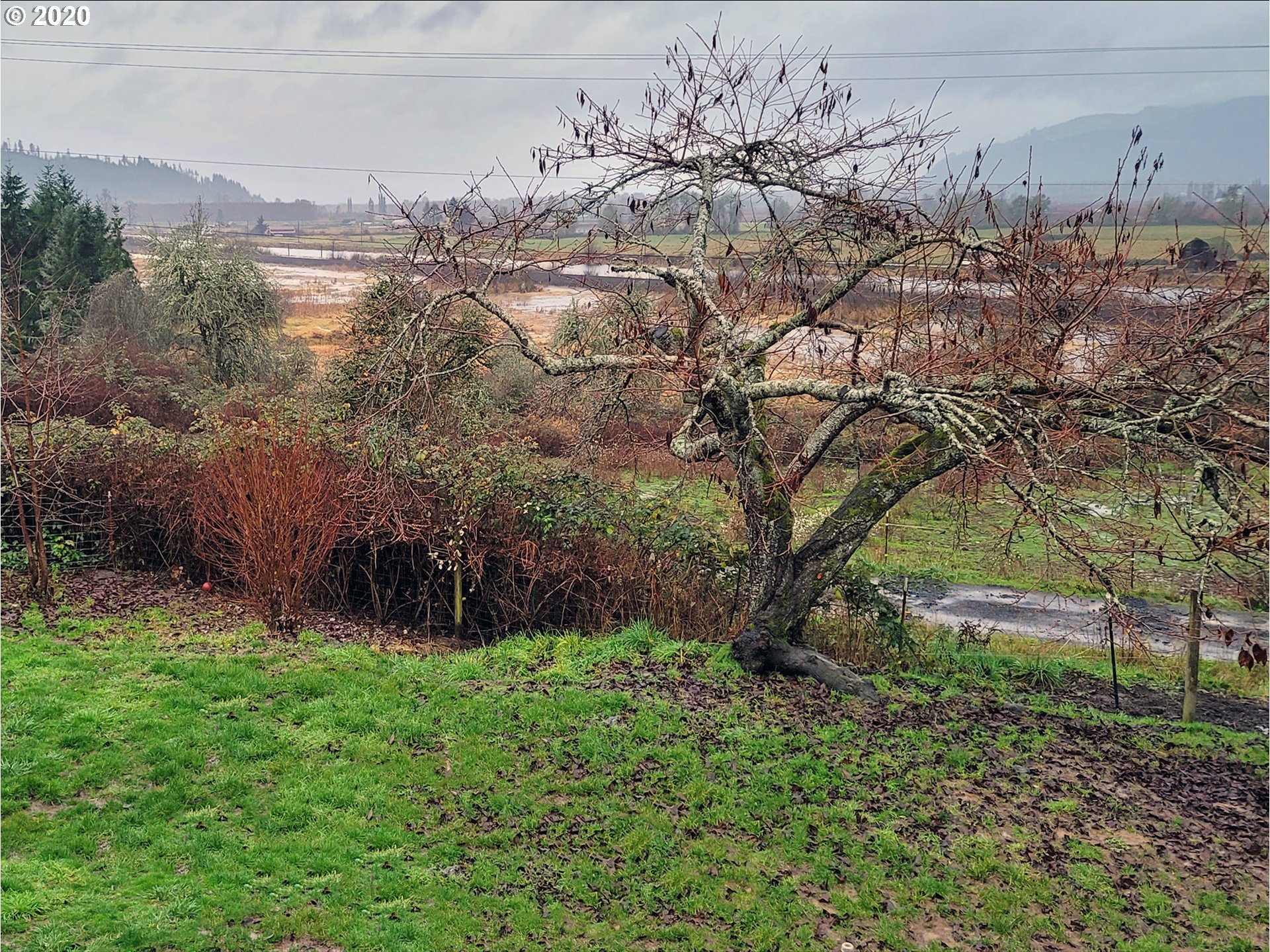 18711 Beaver Falls Road Clatskanie, OR 97016 - Photo 14 of 14