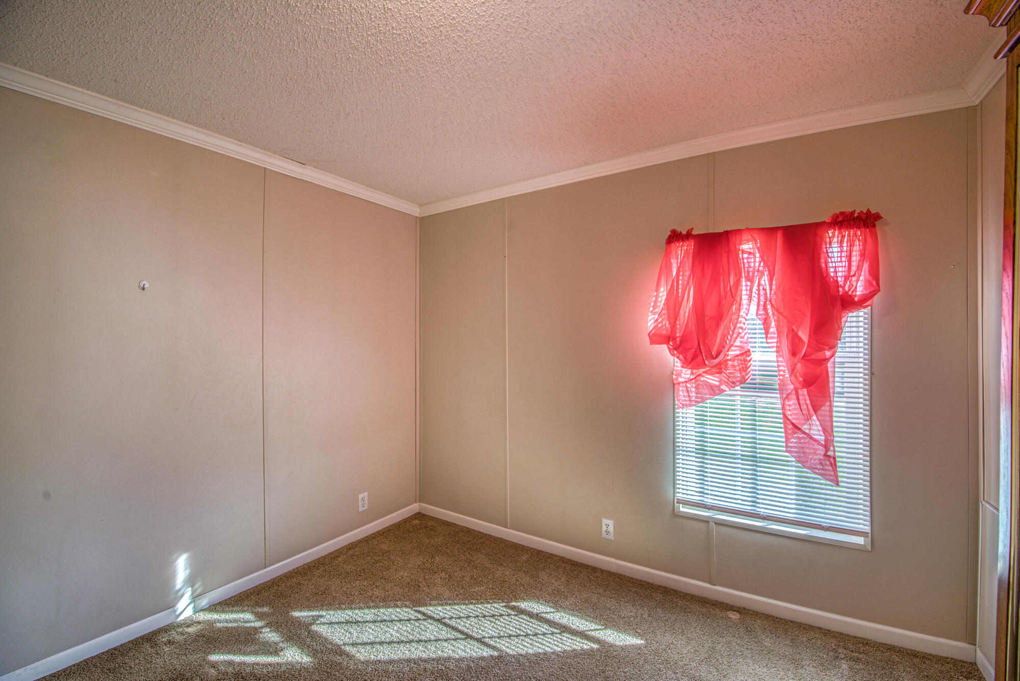 1159 Silver Grove Road Bluff City, TN 37618 - Photo 18 of 28 DSC_5914_16 copy