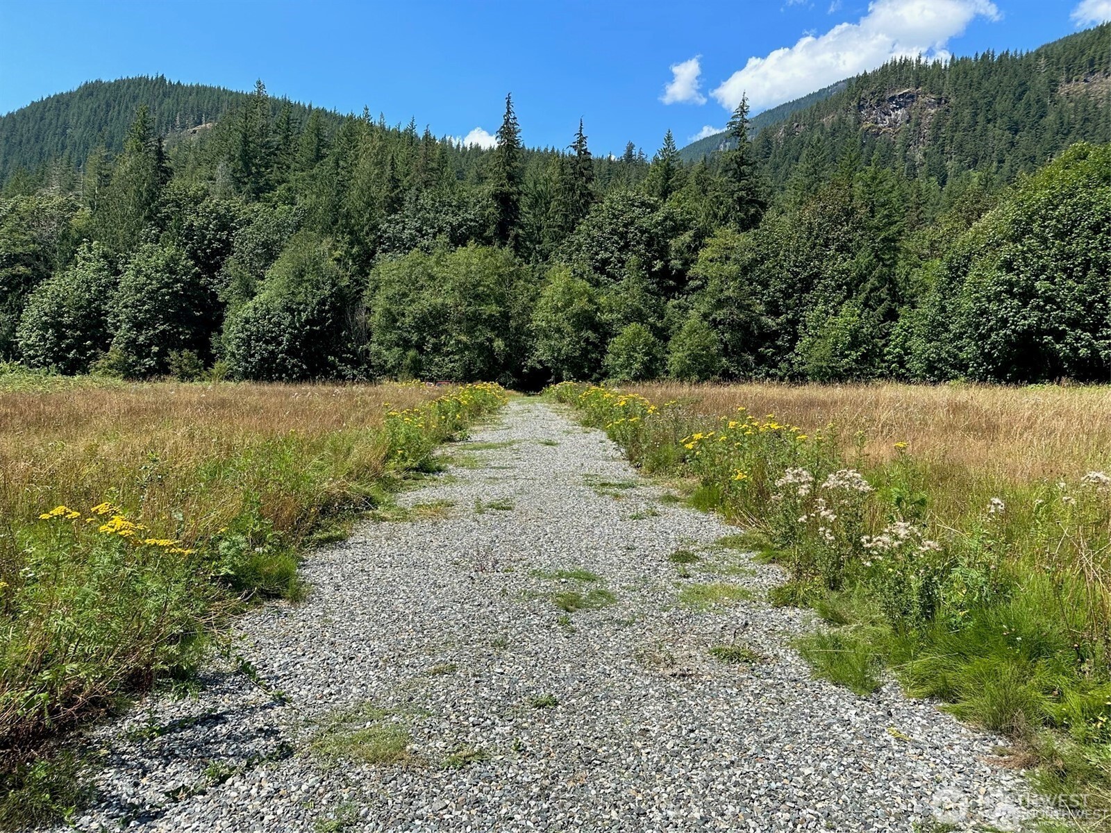7530 Powerline Road Marblemount, WA 98267 - Photo 5 of 13 a view of a field with an trees