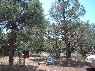 5995 Columbine Road Flagstaff, AZ 86004 - Photo 6 of 6 Additional Photo