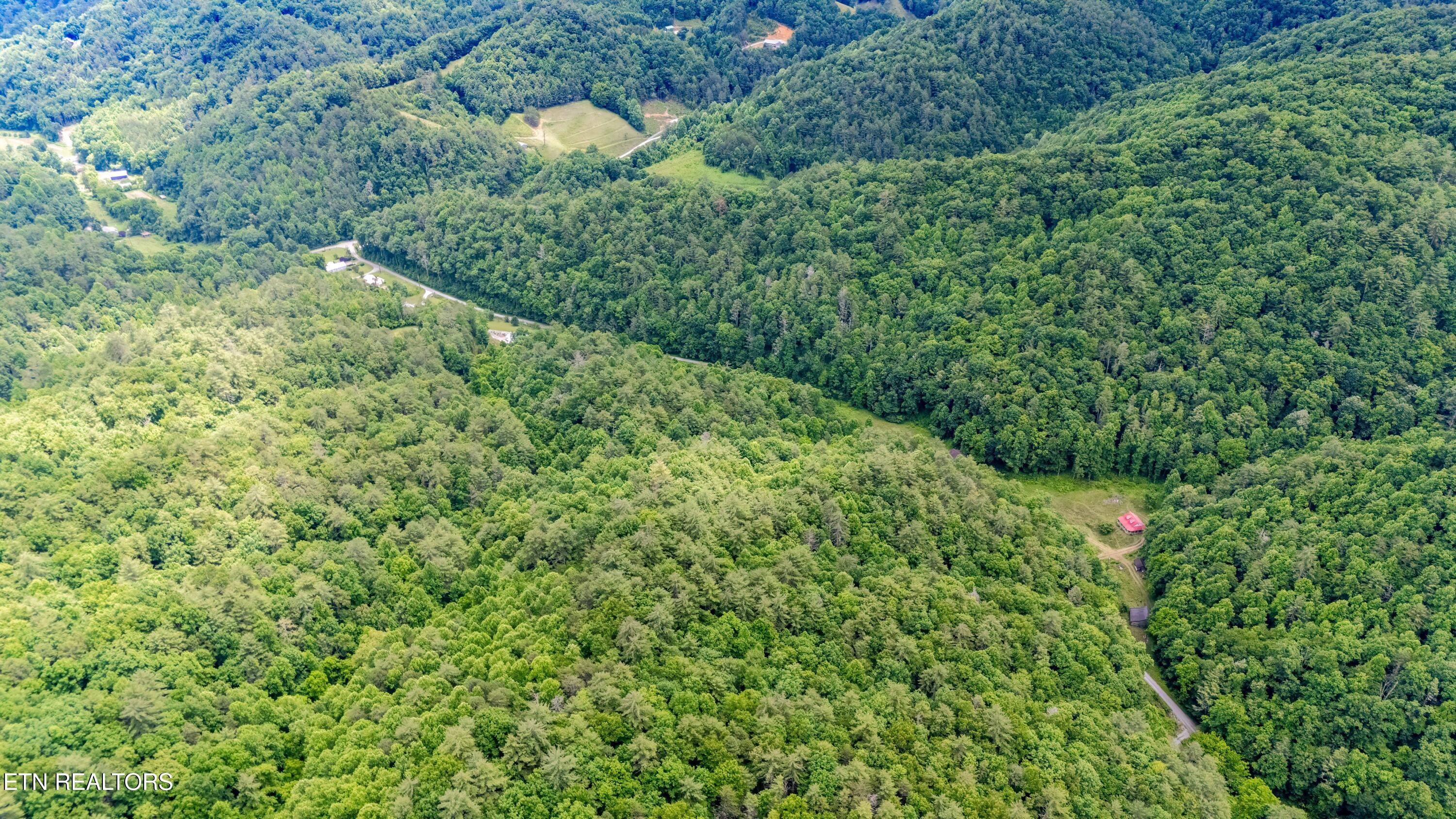 Johns Creek Road Del Rio, TN 37727 - Photo 14 of 17 DJI_20260602131315_0337_D-HDR-Edit