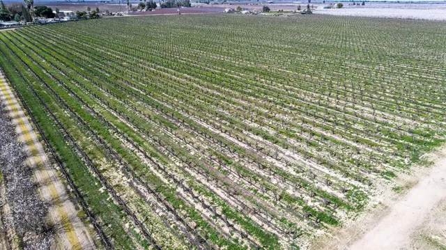a view of a swimming pool with a yard