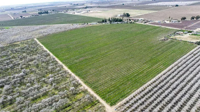 a view of outdoor space and garden