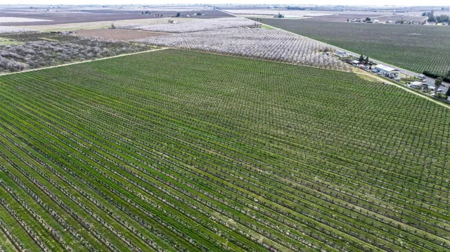 a view of an outdoor space and a yard