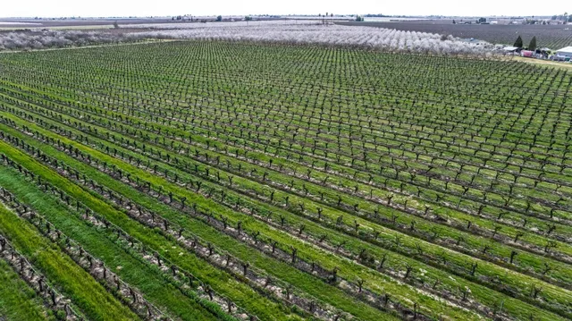 $950,000 | 10690 South Henderson Road, Fresno, CA 93706