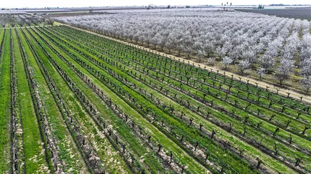 $950,000 | 10690 South Henderson Road, Fresno, CA 93706