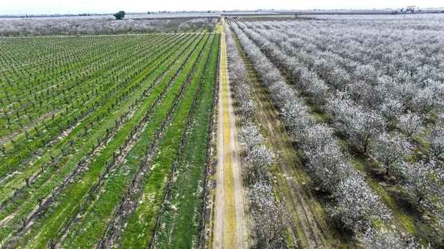 $950,000 | 10690 South Henderson Road, Fresno, CA 93706