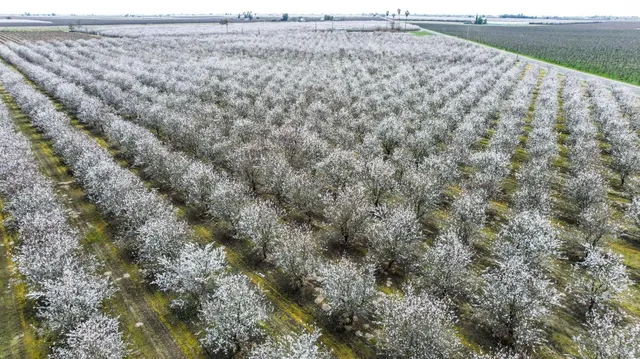 $950,000 | 10690 South Henderson Road, Fresno, CA 93706