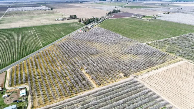 a view of a garden and wooden floor