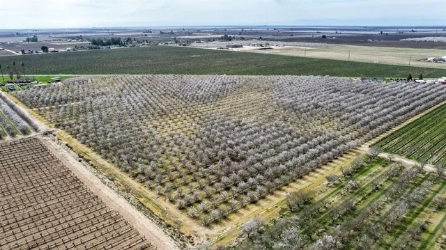 a view of a green field