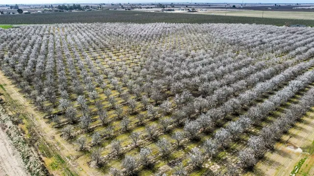 a view of outdoor space with a garden
