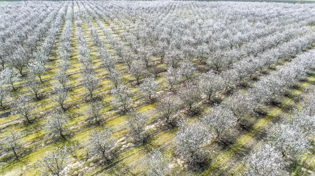 a view of a field with an outdoor space