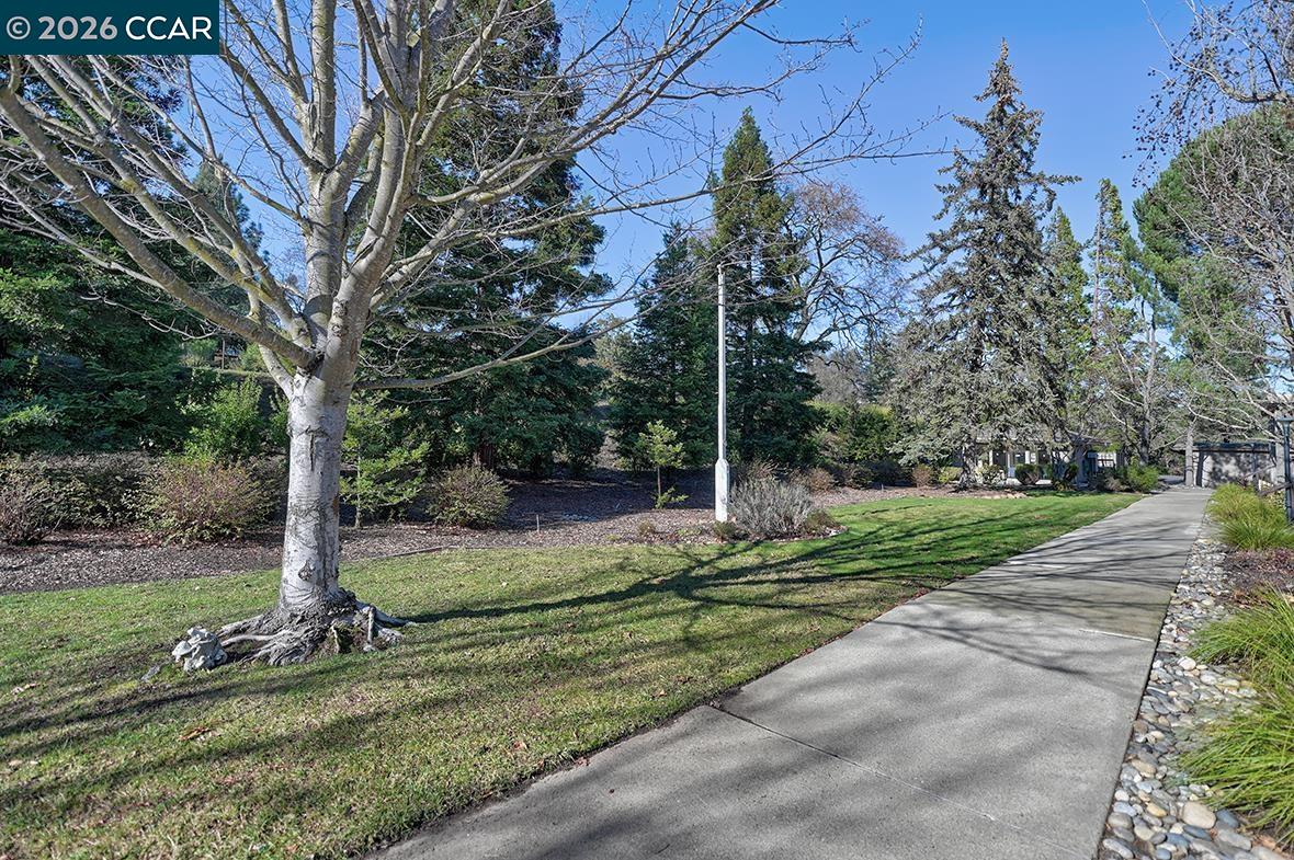 1548 Golden Rain Road, Unit 9 Walnut Creek, CA 94595 - Photo 30 of 45 a park view with tree s