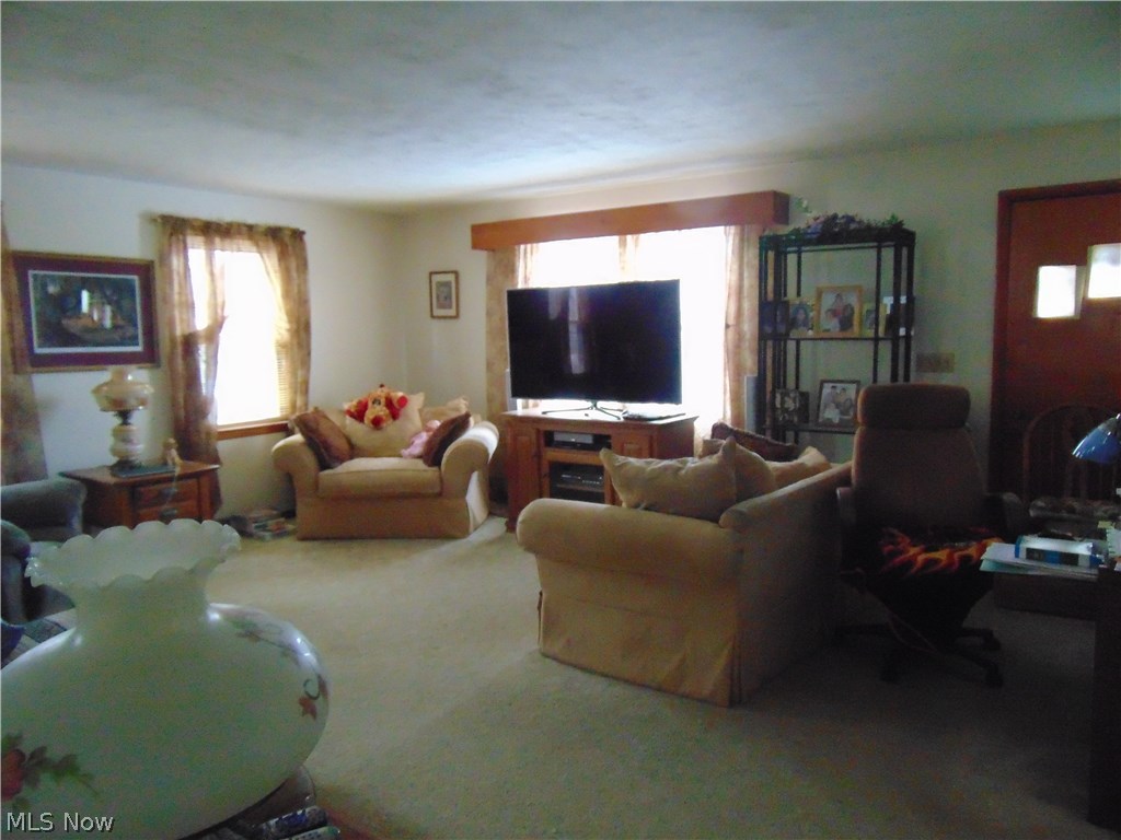 5276 North Ridge Road Madison, OH 44057 - Photo 8 of 20