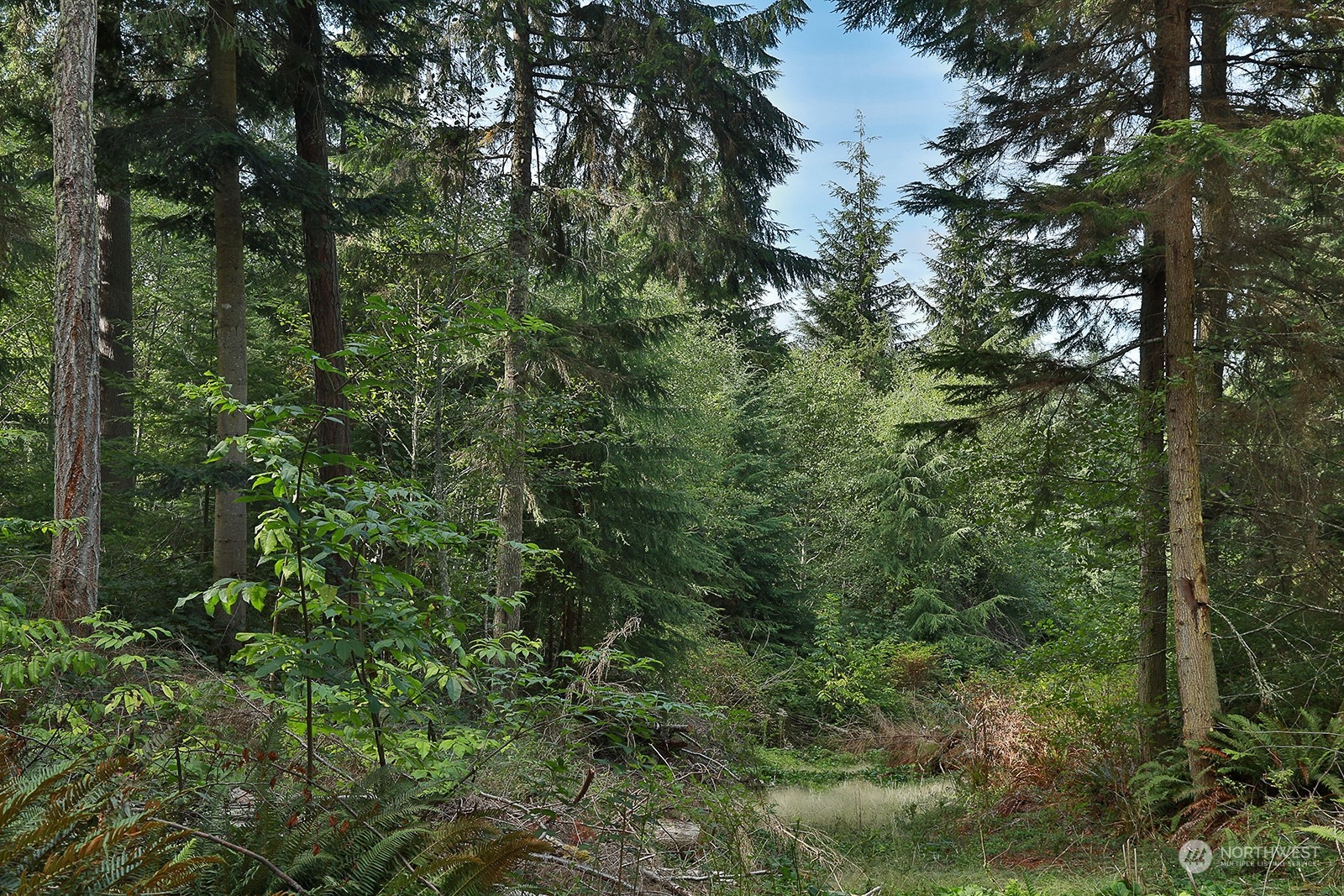 2197 Ander Park Road Freeland, WA 98249 - Photo 8 of 12 Gallery Image 8