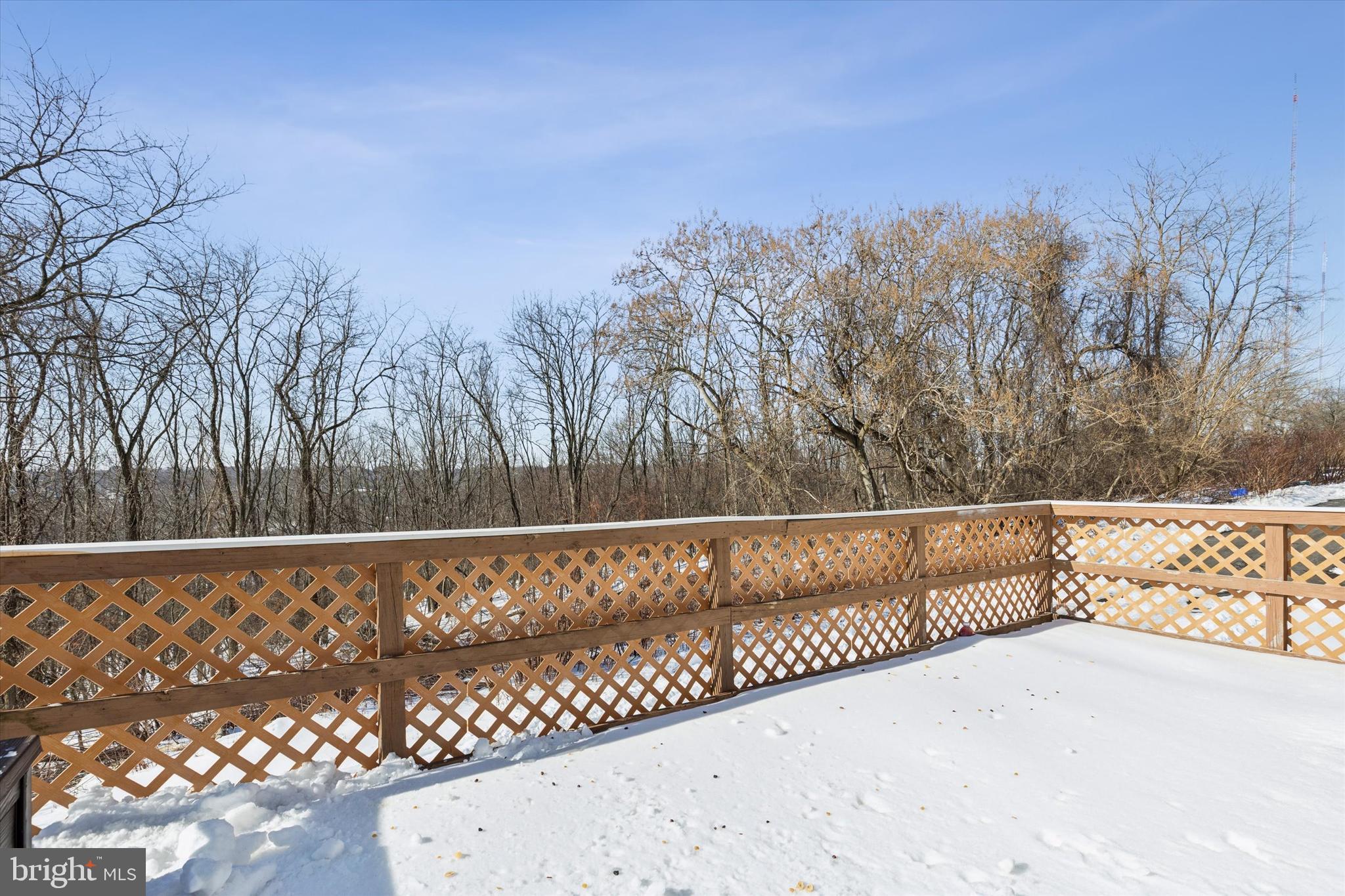 207 Delmar Street, Unit 2 Philadelphia, PA 19128 - Photo 16 of 17