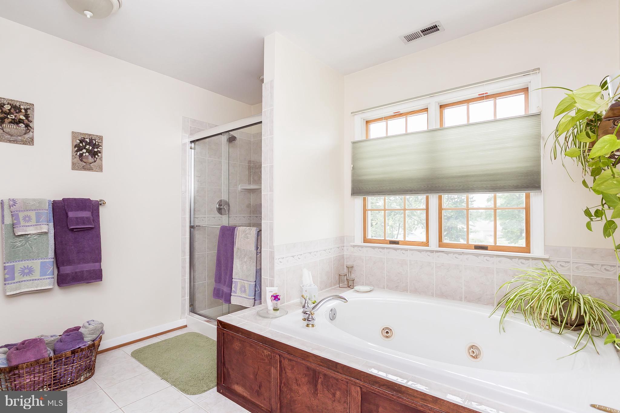 4707 Ridge Road Nottingham, MD 21236 - Photo 13 of 24 Bath (Master)