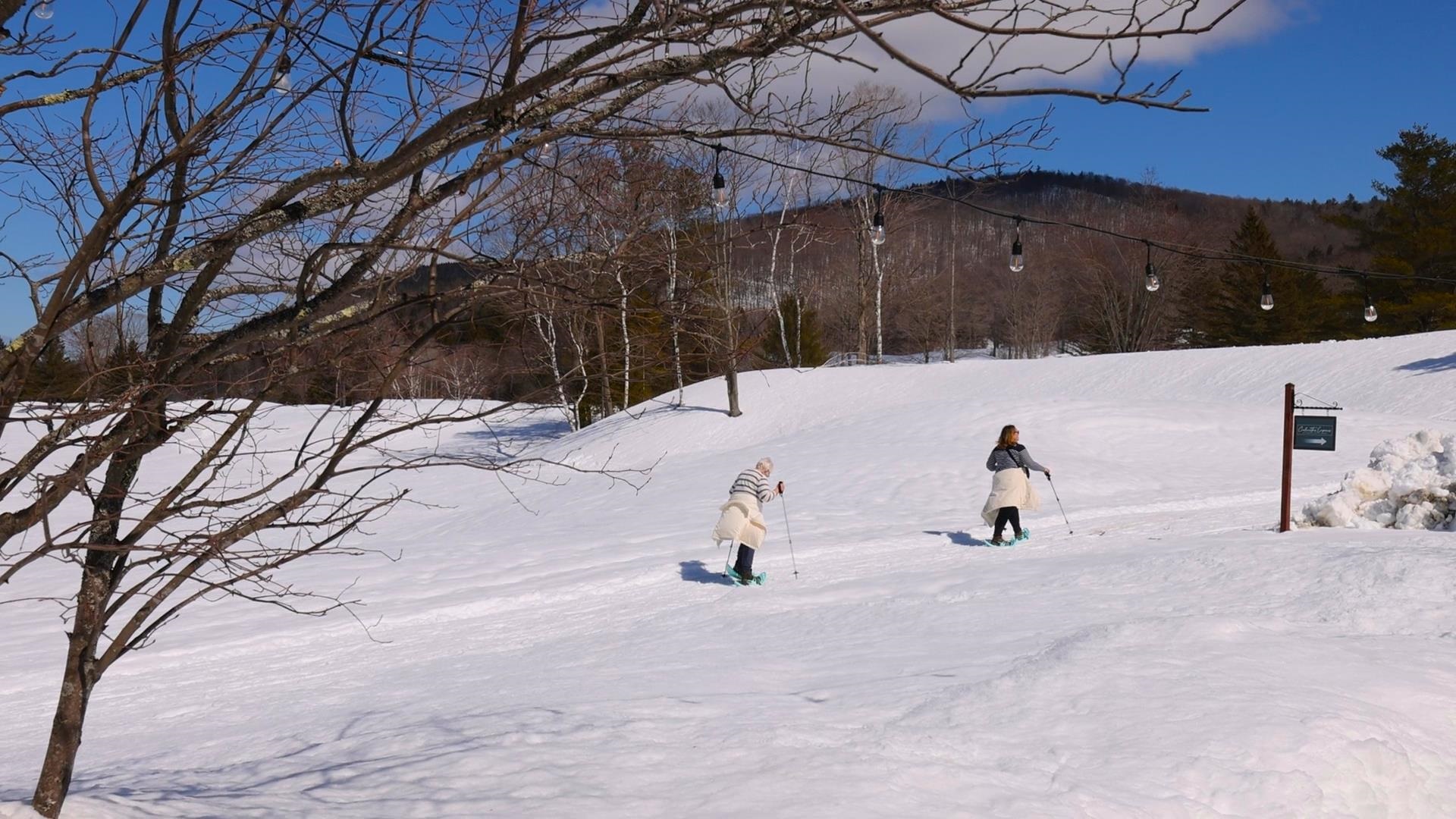 67 Okemo Trailside Extension, Unit 39D Ludlow, VT 05149 - Photo 29 of 37