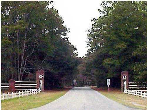 328 Auld Brass Road Walterboro, SC 29488 - Photo 1 of 1 Primary Photo