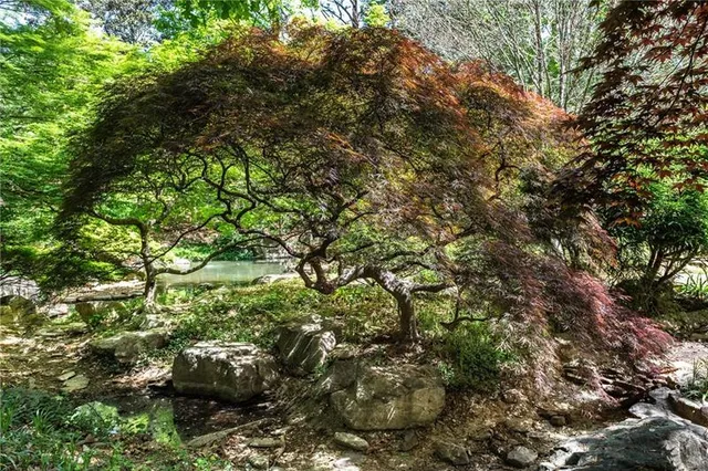 $22,500,000 | 4615 Northside Drive Northwest, Atlanta, GA 30327