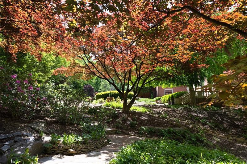 4615 Northside Drive Northwest Atlanta, GA 30327 - Photo 64 of 69 a view of tree