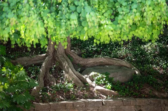 $22,500,000 | 4615 Northside Drive Northwest, Atlanta, GA 30327